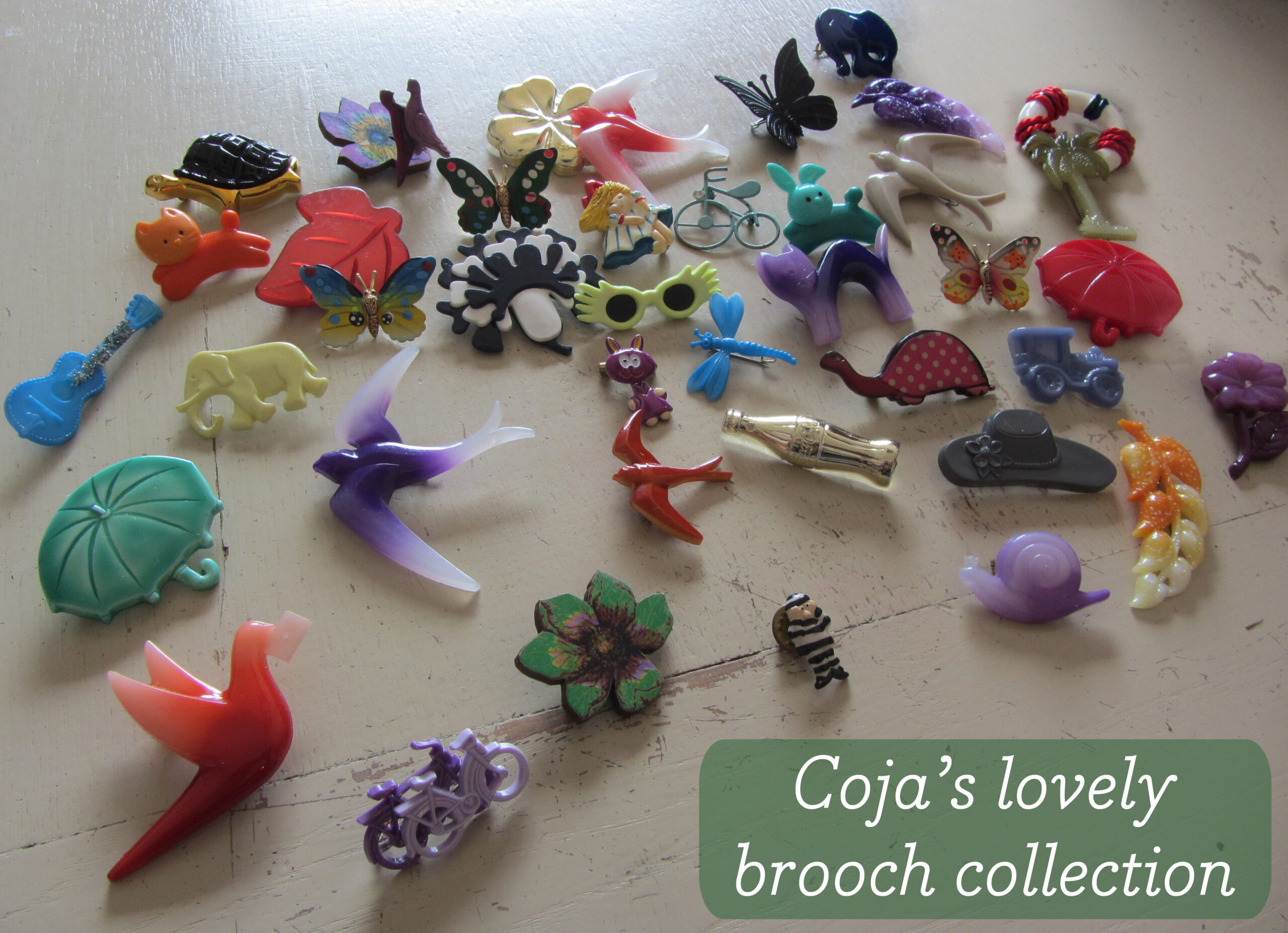 Brooch Collection: Coja